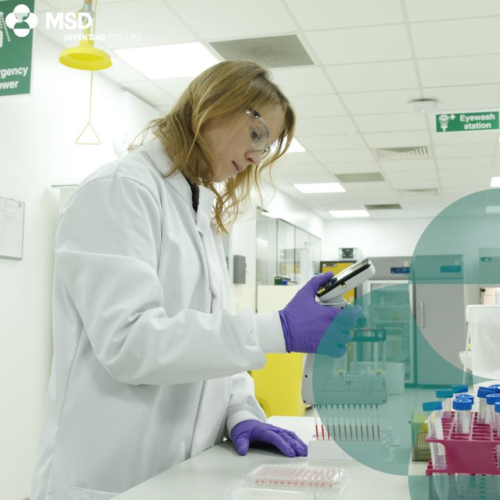 primary article image
