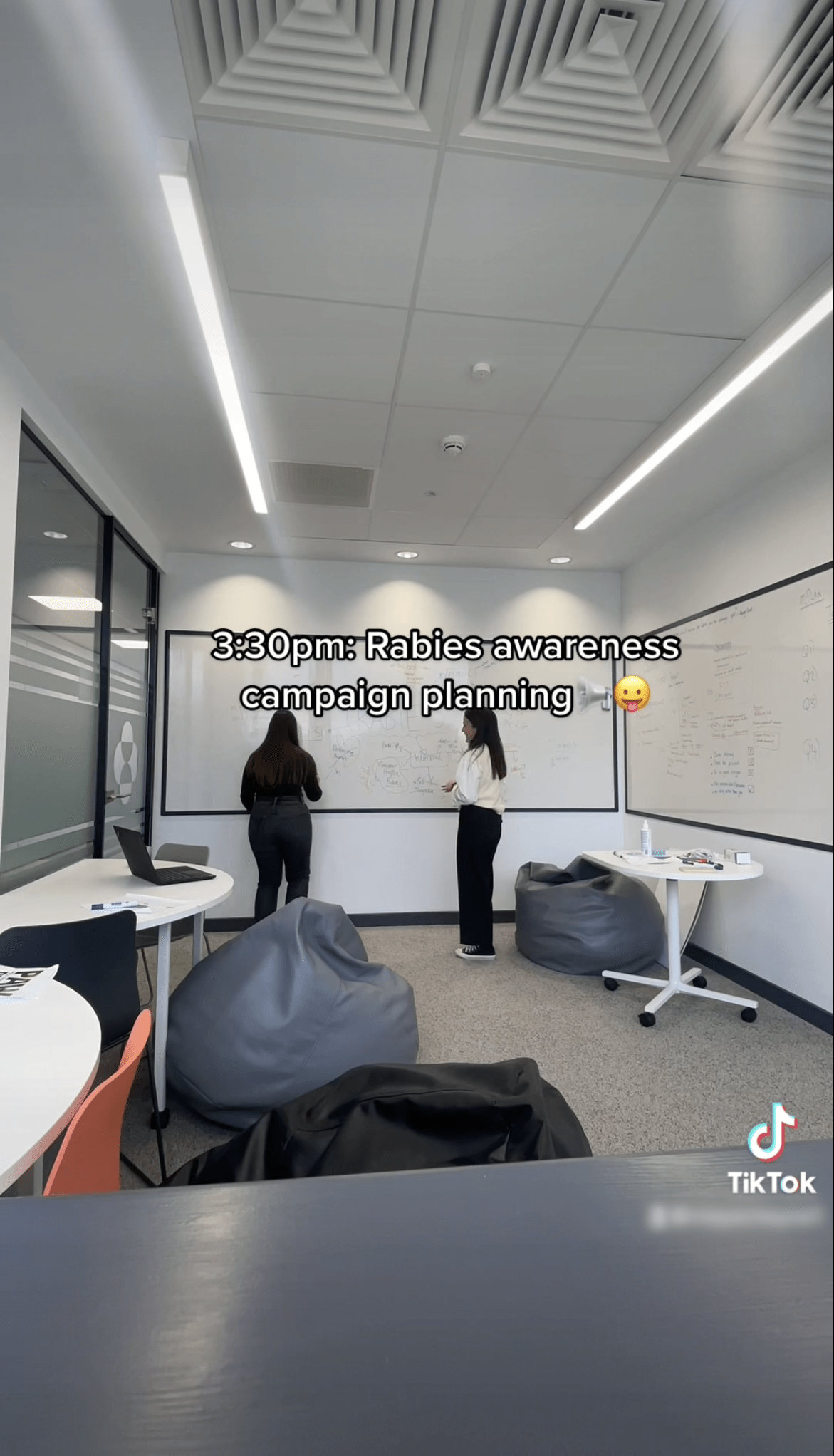 primary article image