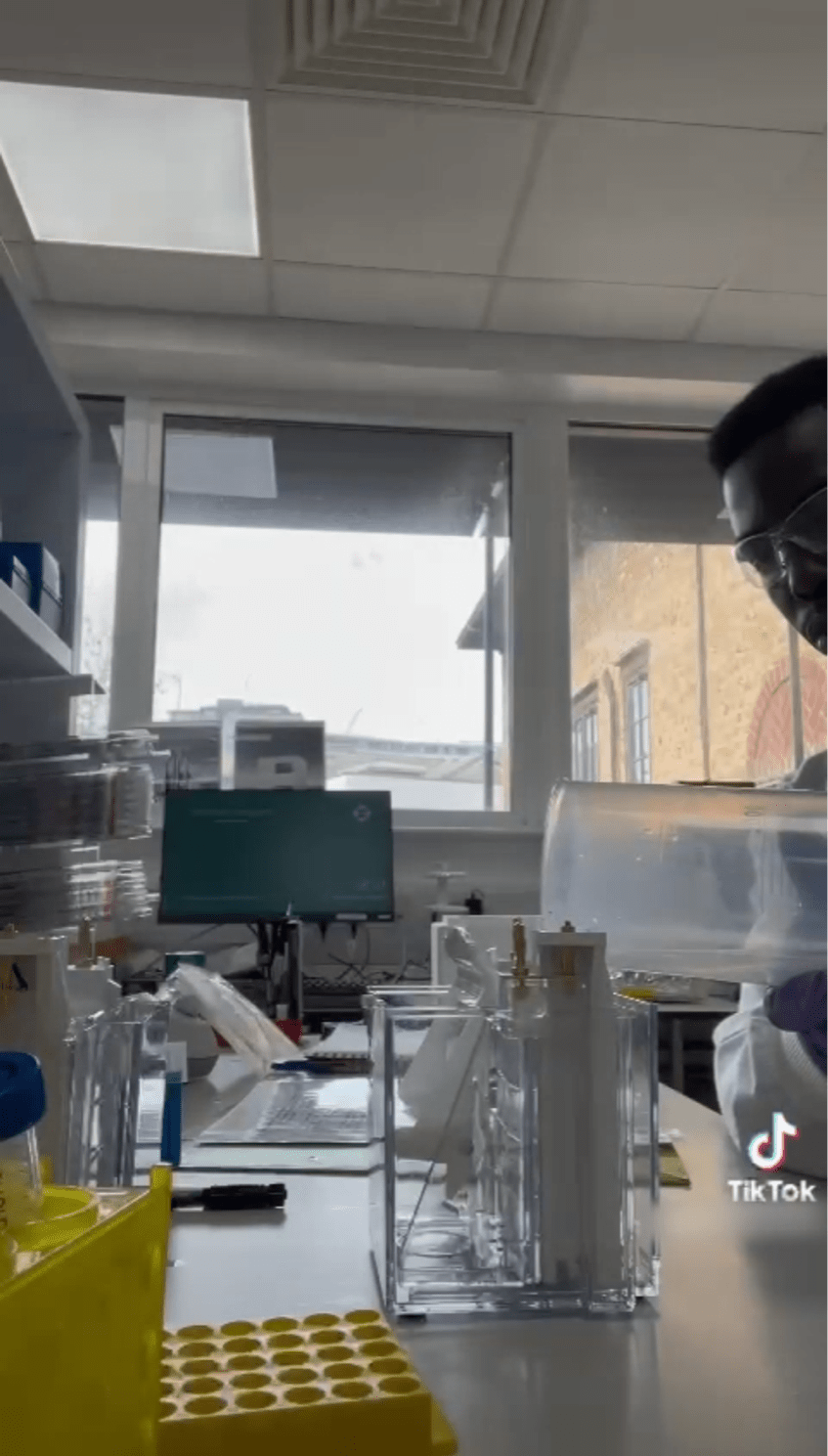 primary article image