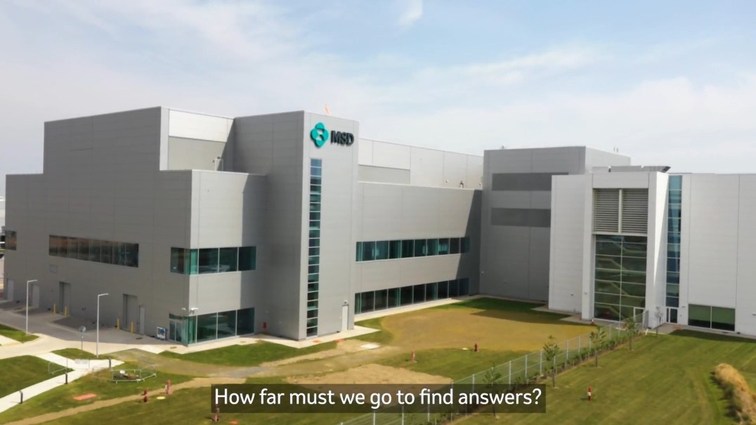 primary article image