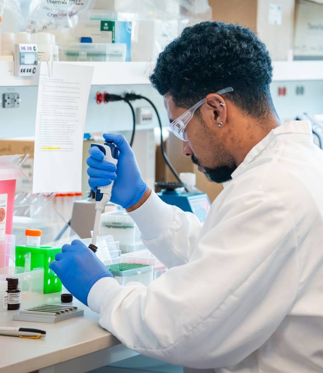 Image for Discovery through intelligent multitasking: Science powered by AI